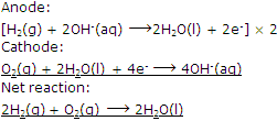 1313_Fuel cell.png