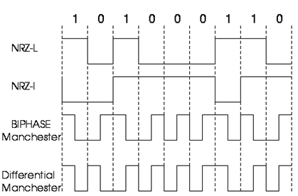 1317_types of encoding.png