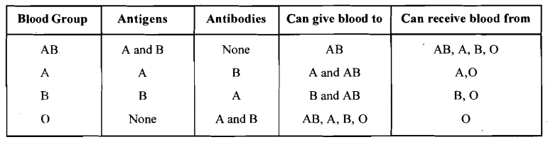 1353_Define Universal Donor and Recipients.png