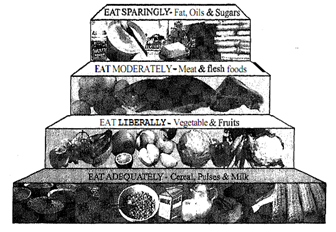 1362_Determine the basic seven food groups - nutritions.png