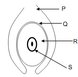 1375_biology.png