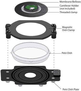 138_Petri Plates.png