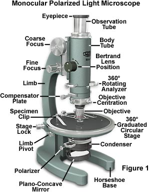 1390_Explain the Body Tube of Microscope.png