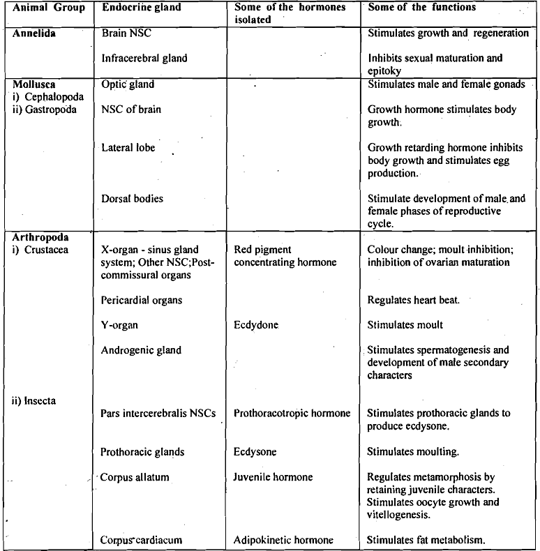 139_Endocrine Organs.png