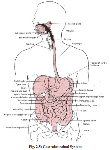 142_biology.png