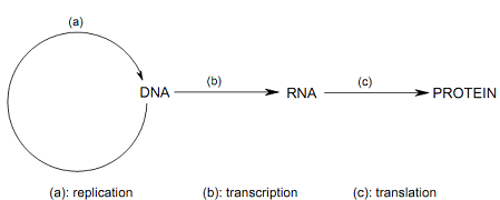 1431_chemsitry.png