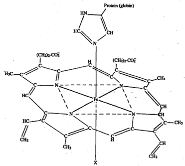 1443_Normal functioning of blood.png