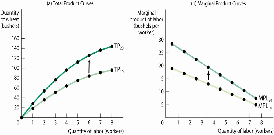 145_Total Product, Marginal Product, and the Fixed Input.png