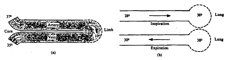 1463_Water loss during air breathing.png