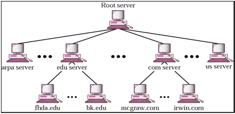 1477_Show the Distribution of Name Space.png