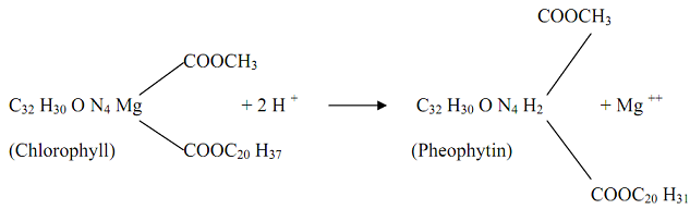 1482_biology.png