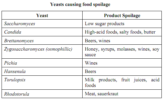 1486_Define Pseudo-yeasts.png