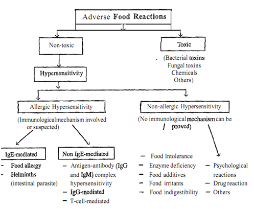 148_What is s Food Allergy (Hypersensitivity).png