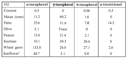 1491_Define the Sources of Vitamin E.png
