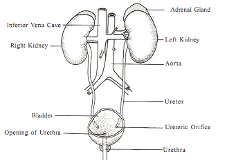 1501_biology.png