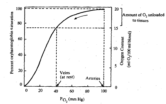 1504_Oxygen Dissociation Curves.png