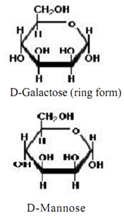 1520_Write the chain structure of D galactose and D mannose 1.png