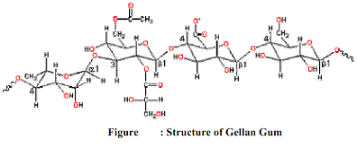 1524_biology.png