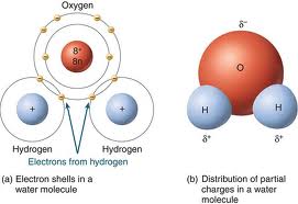 1537_water molecule.jpg