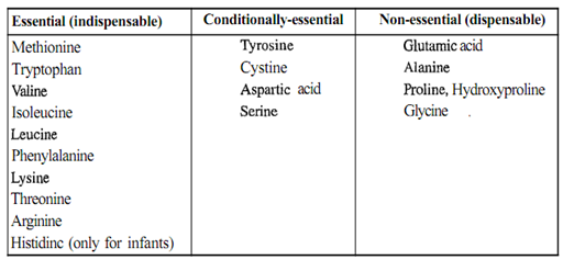 1552_Classification of Protein based on amino acid content.png