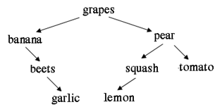 1562_Recursive tree algorithms1.png