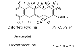 1563_antibiotic3.png