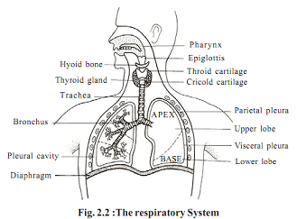 1567_biology.png