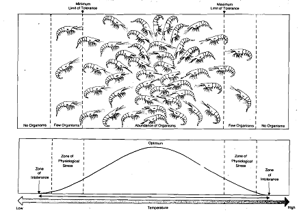 1572_Tolerance Range - Ecosystem.png