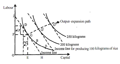 1598_Analysis of Food Production.png