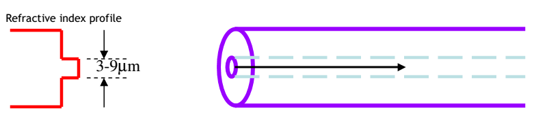 1605_Single mode fibres in intermodal dispersion.png