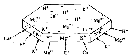 1606_Nutrients and the Soil.png