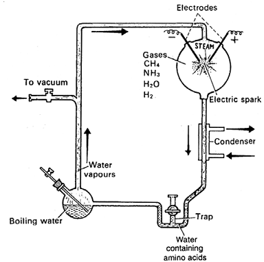 1609_miller experiment.png