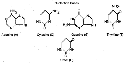 1623_rna.png