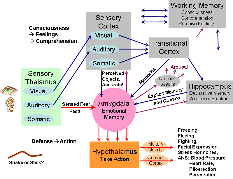 1635_Emotions.png