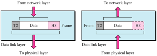 1637_Physical Layer Responsibilities of osi model.png