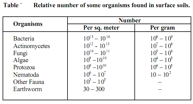 163_biology.png