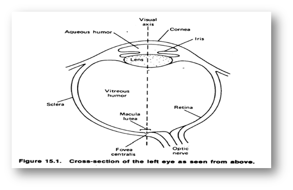 1640_PHYSICS OF EYES AND VISION.png