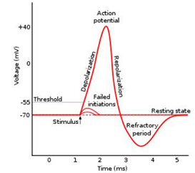 1640_biology.png