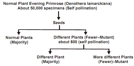 168_mutation theory.png