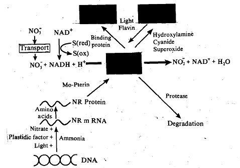 1697_Enzyme-activity Control.png