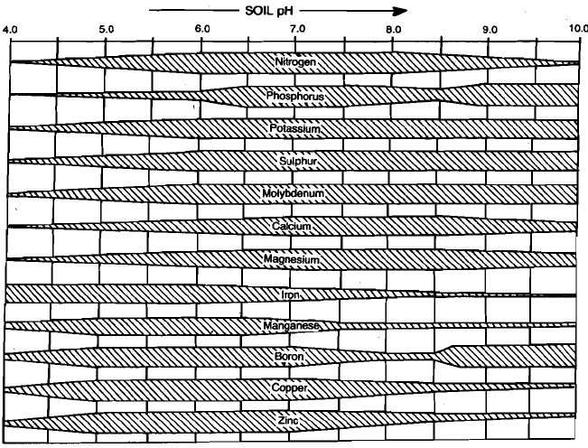 1727_realation to soli ph.jpg