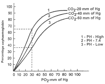 1759_transportation of oxygen.png