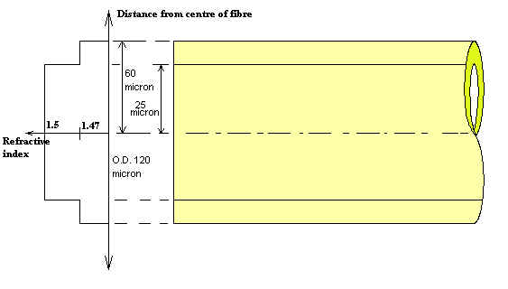 1784_step index fibre.jpg