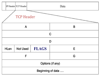 1805_Representation of a TCP header.png
