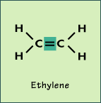 1808_Explain the structure of Alkenes.gif
