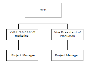 1818_functional organizational structure.png