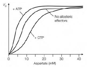 1839_Reversible covalent modification.png