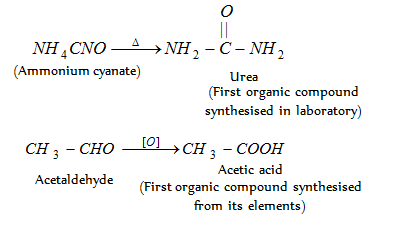 1848_Meaning of Organic Chemistry.png