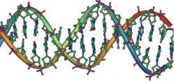 1876_DNA Revolution.png