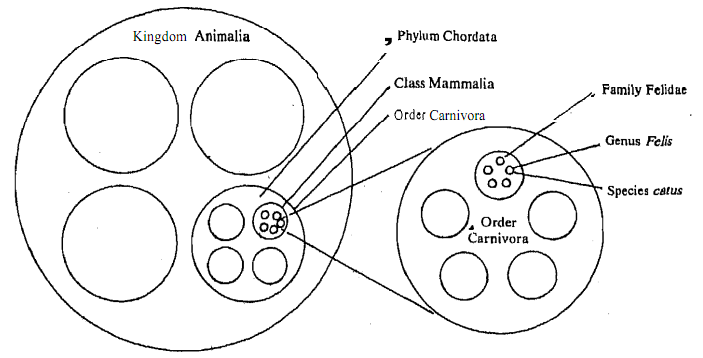 1886_Need for classification.png